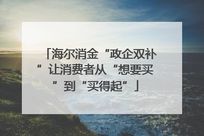 海尔消金“政企双补”让消费者从“想要买”到“买得起”