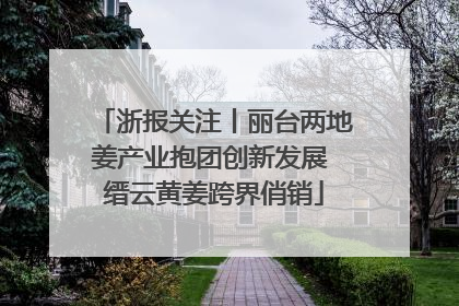 浙报关注丨丽台两地姜产业抱团创新发展 缙云黄姜跨界俏销