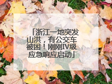 浙江一地突发山洪，有公交车被困！刚刚Ⅳ级应急响应启动