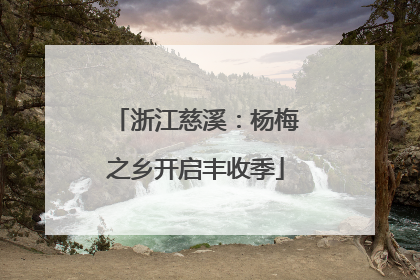 浙江慈溪：杨梅之乡开启丰收季