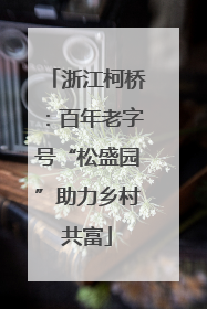 浙江柯桥：百年老字号“松盛园”助力乡村共富