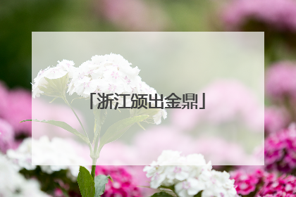 浙江颁出金鼎