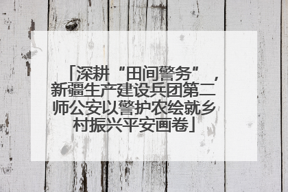 深耕“田间警务”，新疆生产建设兵团第二师公安以警护农绘就乡村振兴平安画卷