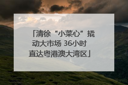 清徐“小菜心”撬动大市场 36小时直达粤港澳大湾区