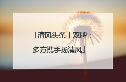 清风头条丨双牌：多方携手扬清风