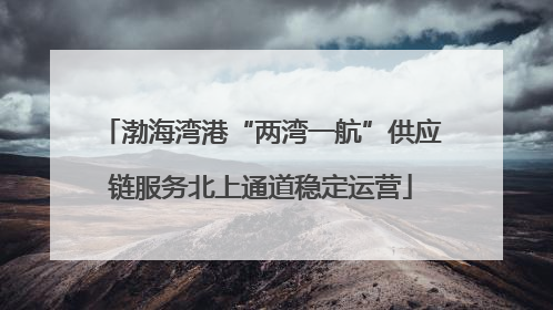 渤海湾港“两湾一航”供应链服务北上通道稳定运营