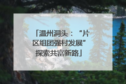 温州洞头：“片区组团强村发展”探索共富新路