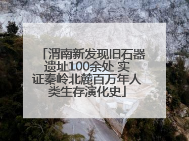 渭南新发现旧石器遗址100余处 实证秦岭北麓百万年人类生存演化史