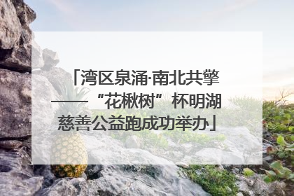 湾区泉涌·南北共擎——“花楸树”杯明湖慈善公益跑成功举办