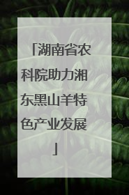 湖南省农科院助力湘东黑山羊特色产业发展