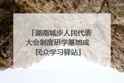 湖南城步人民代表大会制度研学基地成民众学习驿站