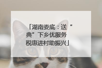 湖南娄底：送“典”下乡优服务 税惠进村助振兴