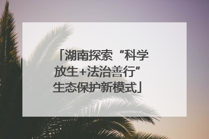 湖南探索“科学放生+法治善行”生态保护新模式
