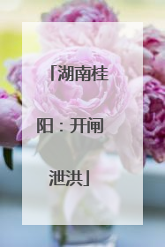 湖南桂阳：开闸泄洪