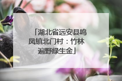 湖北省远安县鸣凤镇北门村：竹林遍野绿生金