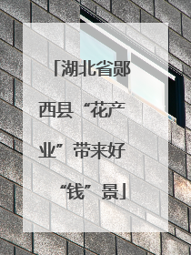 湖北省郧西县“花产业”带来好“钱”景