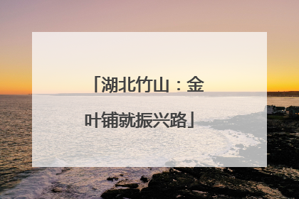 湖北竹山：金叶铺就振兴路