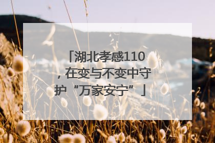 湖北孝感110，在变与不变中守护“万家安宁”