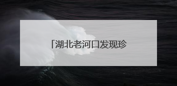 湖北老河口发现珍稀鸟类蓝喉蜂虎