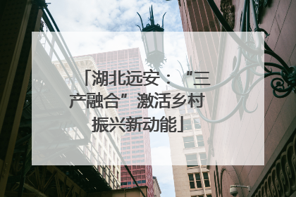 湖北远安：“三产融合”激活乡村振兴新动能