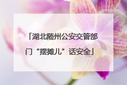 湖北随州公安交管部门“摆摊儿”话安全
