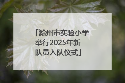 滁州市实验小学举行2025年新队员入队仪式