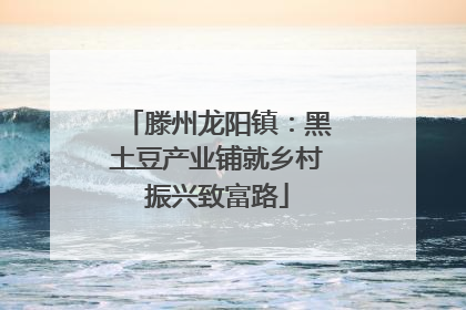 滕州龙阳镇：黑土豆产业铺就乡村振兴致富路