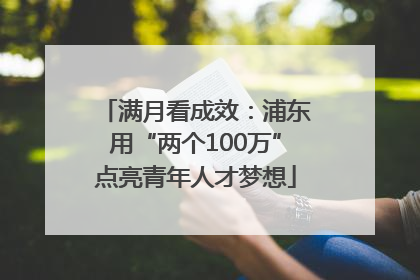 满月看成效：浦东用“两个100万”点亮青年人才梦想