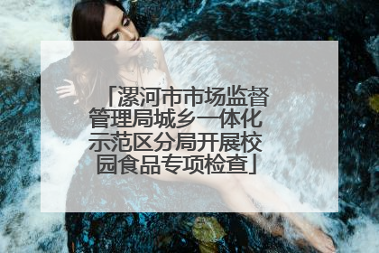 漯河市市场监督管理局城乡一体化示范区分局开展校园食品专项检查