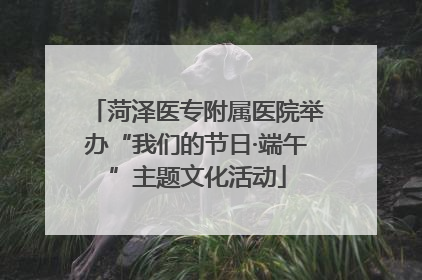 菏泽医专附属医院举办“我们的节日·端午”主题文化活动