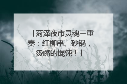 菏泽夜市灵魂三重奏：红柳串、砂锅，烫嘴的馄饨！
