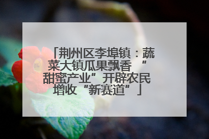 荆州区李埠镇：蔬菜大镇瓜果飘香 “甜蜜产业”开辟农民增收“新赛道”