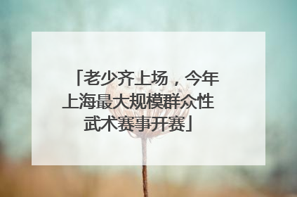 老少齐上场，今年上海最大规模群众性武术赛事开赛