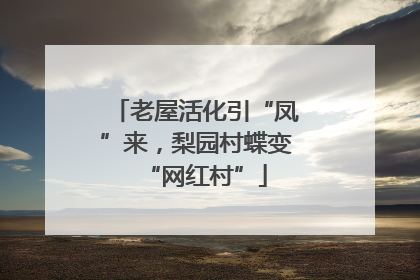 老屋活化引“凤”来，梨园村蝶变“网红村”