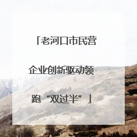 老河口市民营企业创新驱动领跑“双过半”