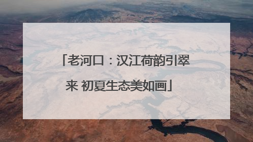 老河口：汉江荷韵引翠来 初夏生态美如画