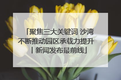 聚焦三大关键词 沙湾不断推动园区承载力提升丨新闻发布最前线