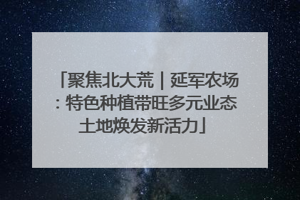 聚焦北大荒｜延军农场：特色种植带旺多元业态 土地焕发新活力
