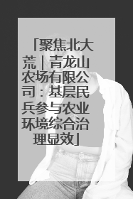 聚焦北大荒｜青龙山农场有限公司：基层民兵参与农业环境综合治理显效