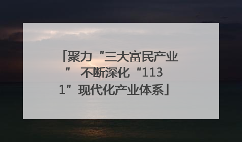 聚力“三大富民产业” 不断深化“1131”现代化产业体系