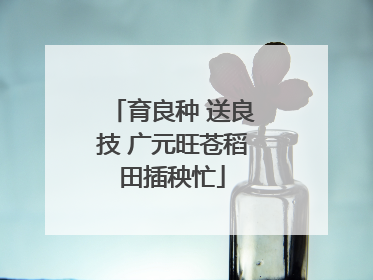 育良种 送良技 广元旺苍稻田插秧忙