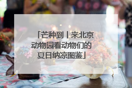 芒种到丨来北京动物园看动物们的夏日纳凉图鉴