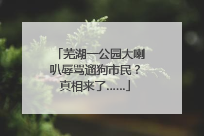 芜湖一公园大喇叭辱骂遛狗市民？真相来了……