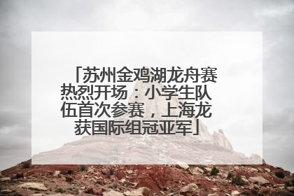 苏州金鸡湖龙舟赛热烈开场：小学生队伍首次参赛，上海龙获国际组冠亚军