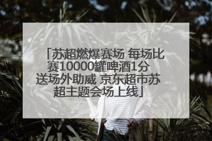 苏超燃爆赛场 每场比赛10000罐啤酒1分送场外助威 京东超市苏超主题会场上线