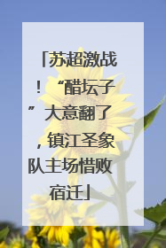 苏超激战！“醋坛子”大意翻了，镇江圣象队主场惜败宿迁