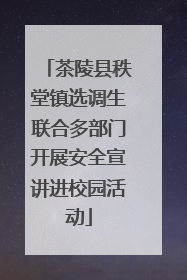 茶陵县秩堂镇选调生联合多部门开展安全宣讲进校园活动