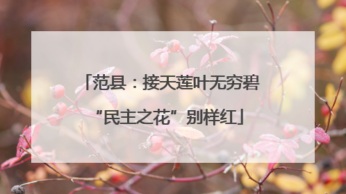 范县：接天莲叶无穷碧 “民主之花”别样红