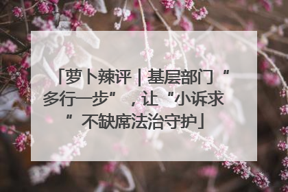萝卜辣评｜基层部门“多行一步”，让“小诉求”不缺席法治守护