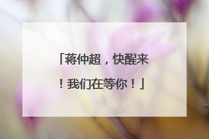 蒋仲超，快醒来！我们在等你！
